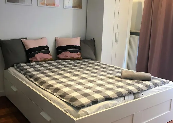 Coco Premium Saska Kepa