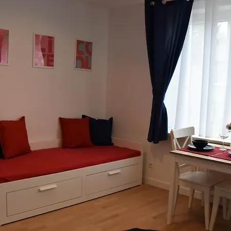 Coco Premium Saska Kepa