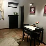 Coco Premium Saska Kepa *