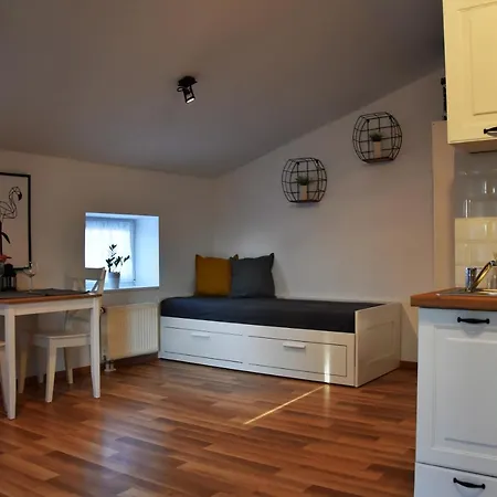 Coco Premium Saska Kepa * 华沙