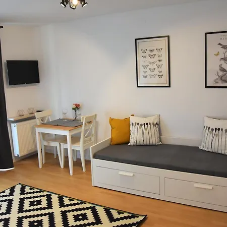 Coco Premium Saska Kepa