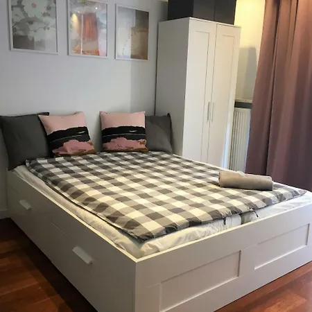 Coco Premium Saska Kepa